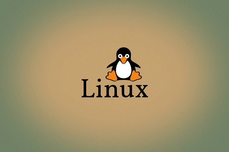 【0基础7天学会自己建网站】第6天：Linux培训